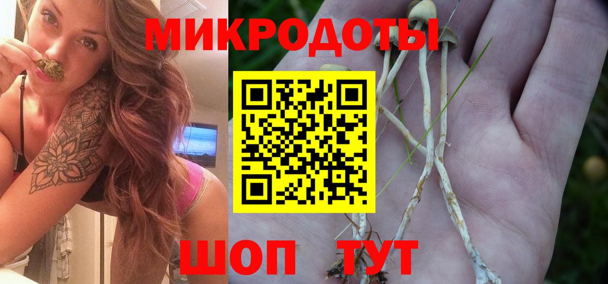 Буйнакск  Галлюциногенные грибы мухоморы  Вход с VPN 